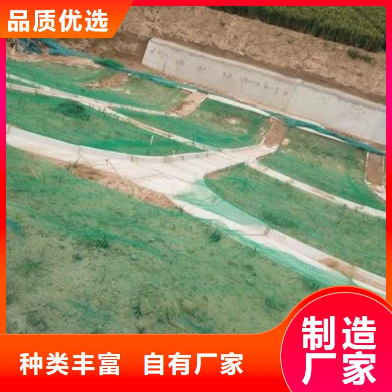 【三维植被网】钢塑土工格栅生产型