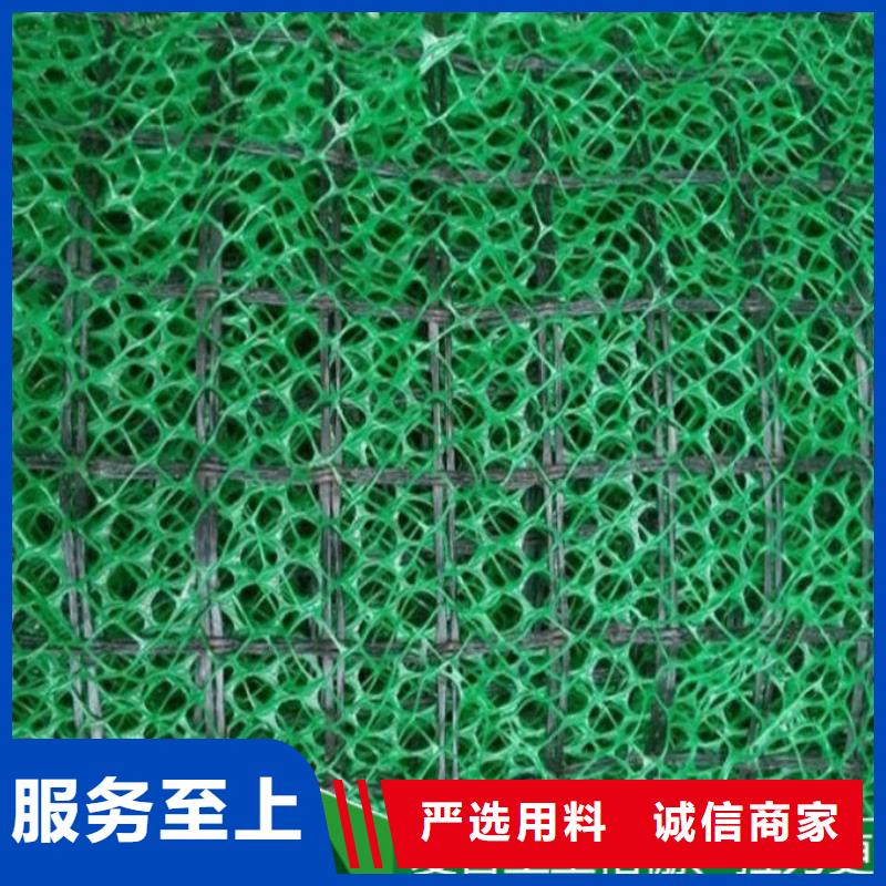 三维植被网长丝无纺土工布货源报价