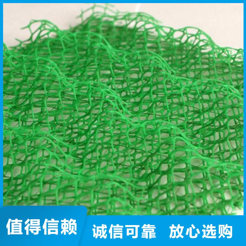 【三维植被网】,HDPE土工膜大量现货供应