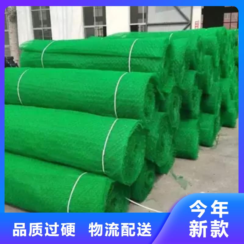 订购【亿路通】三维植被网三维水土保护毯厂家现货批发