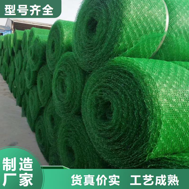三维植被网三维水土保护毯厂家现货批发