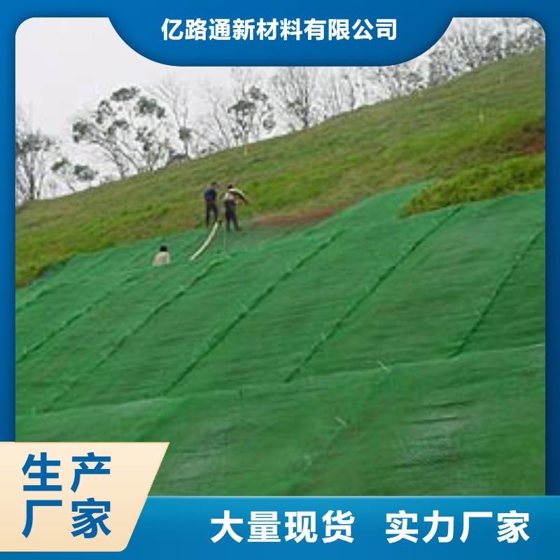 订购【亿路通】三维植被网三维水土保护毯厂家现货批发