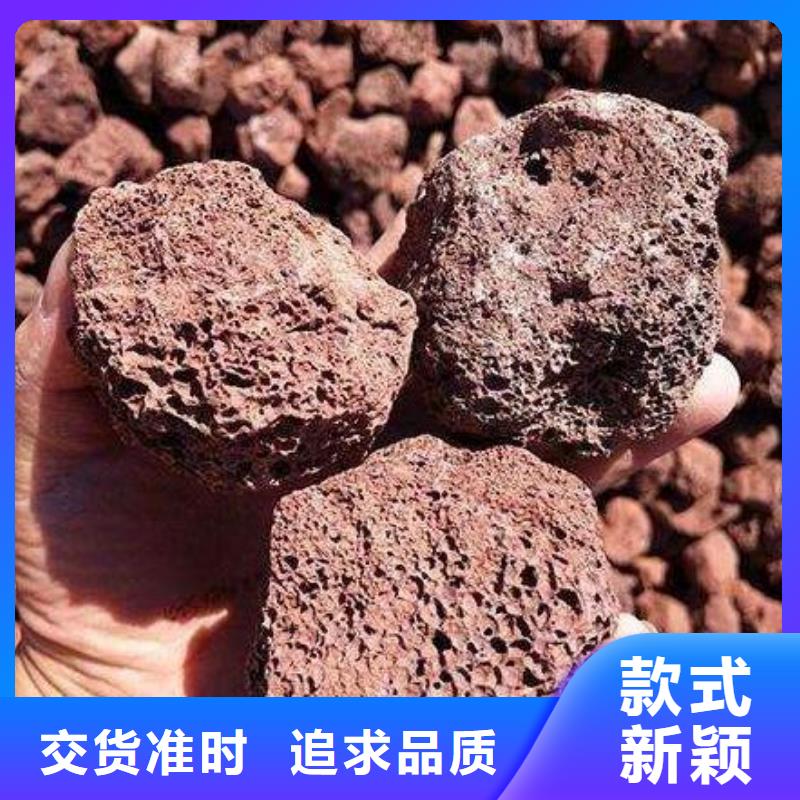 火山岩【生物陶粒滤料】实体厂家支持定制