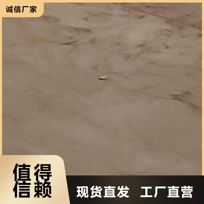 桥面防撞护栏批发零售-定做
