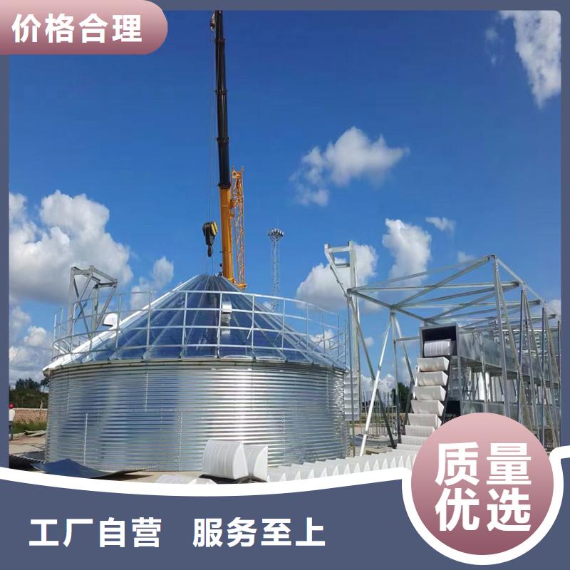 大型粮食存储设备2025畅销新品