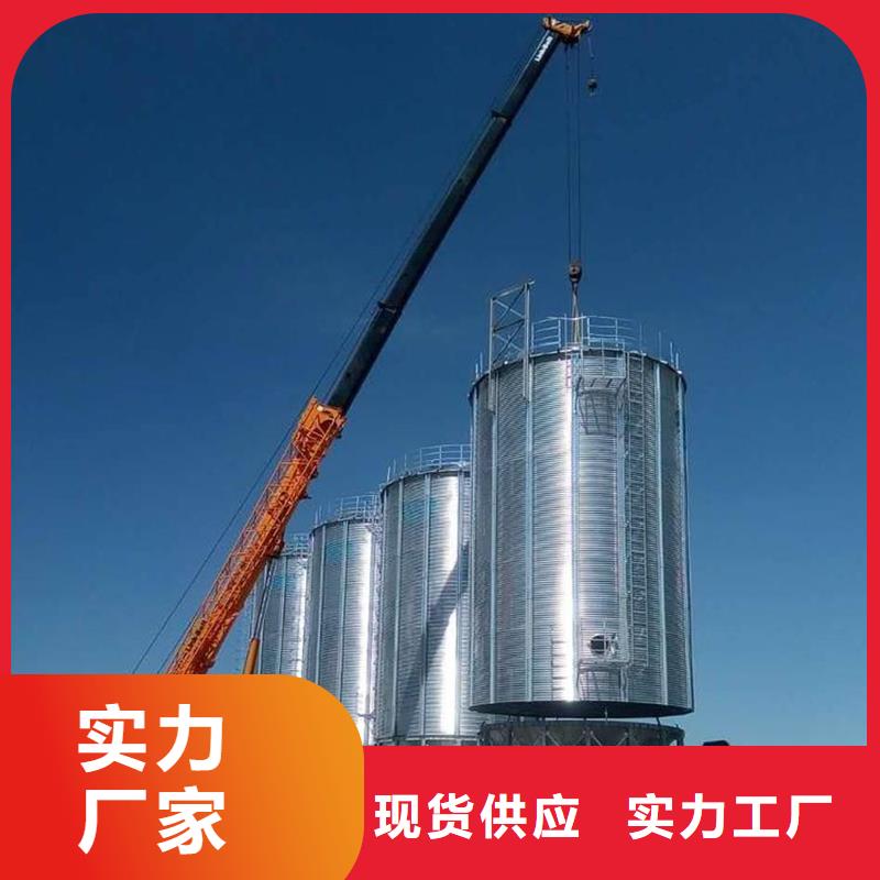 定做装配式粮仓钢板仓存储仓的批发商