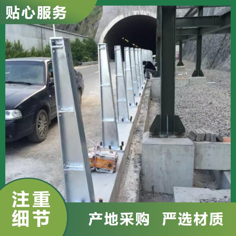 道路护栏-河道景观护栏专业信赖厂家