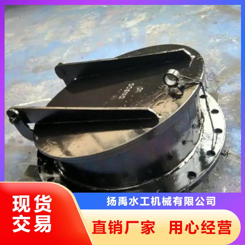 拍门,回转式清污机原料层层筛选
