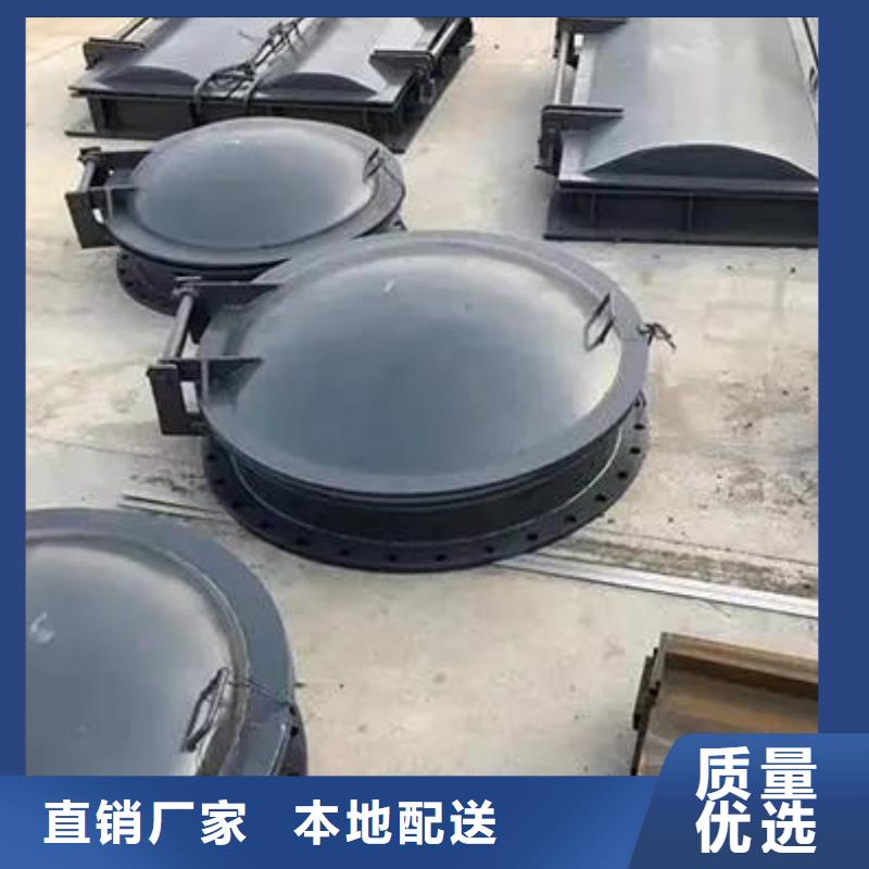 【拍门机闸一体式闸门厂家货源】
