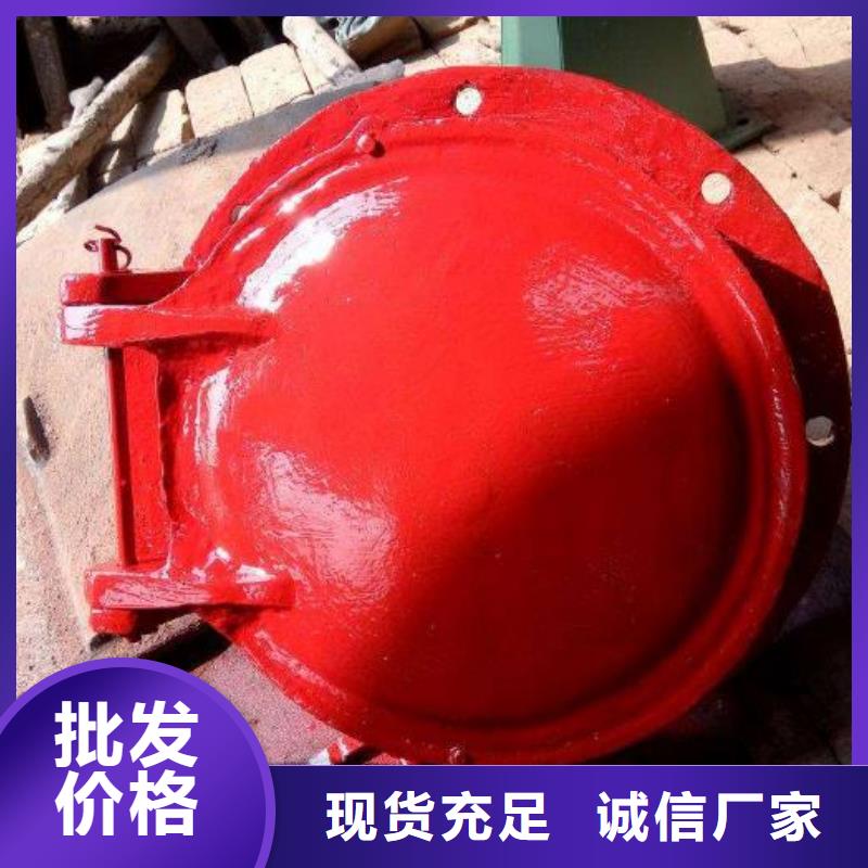 拍门 钢制拍门厂家快捷物流