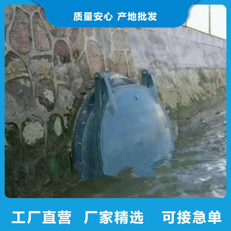 拍门玻璃钢拍门甄选好厂家