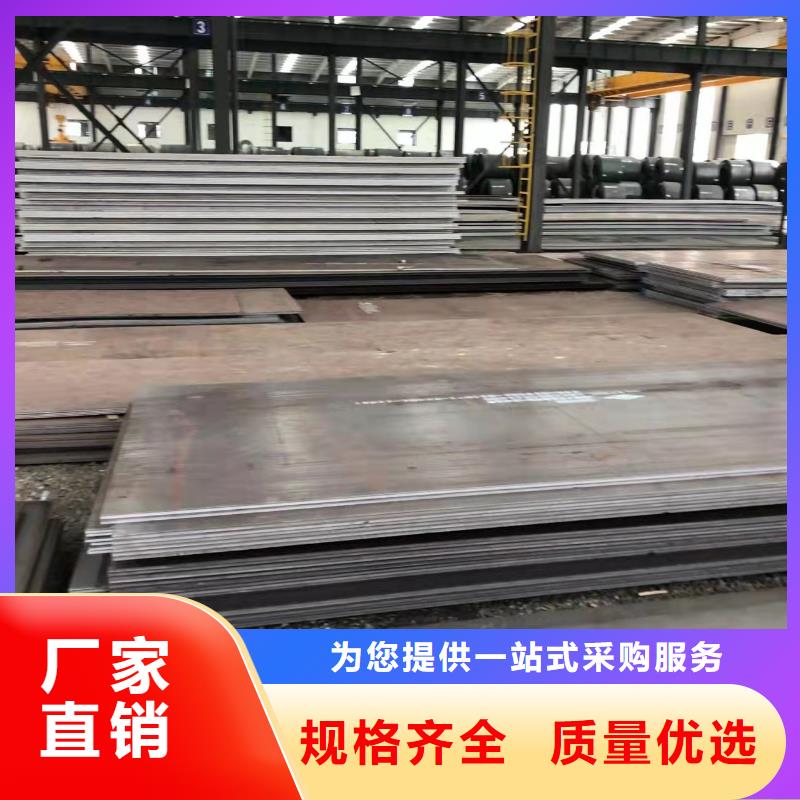 (佳龙)湘潭65Mn钢板零切割卖家