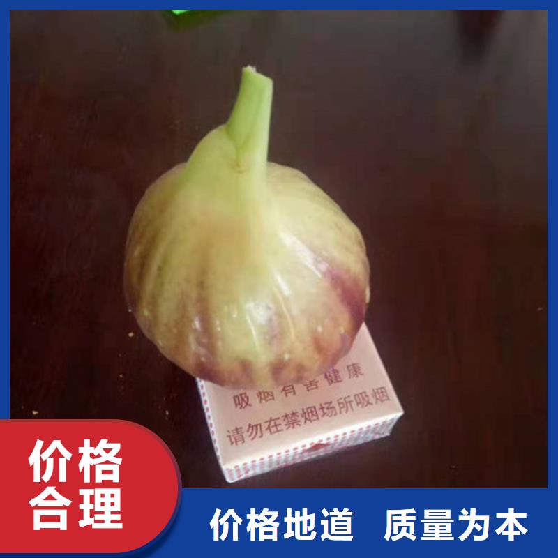 无花果,桃树苗来图加工定制