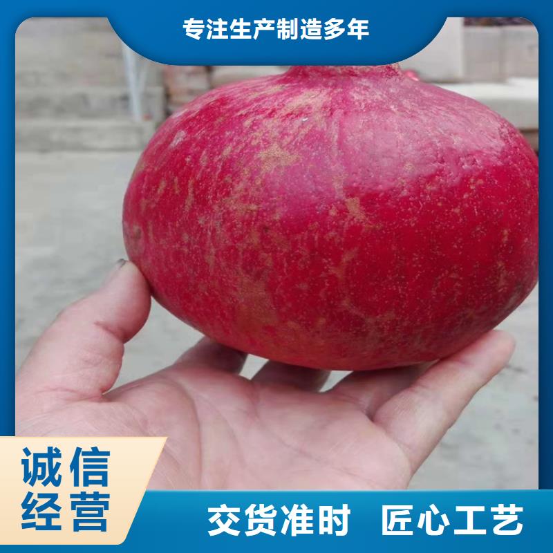 软籽石榴苗欢迎咨询宝鸡