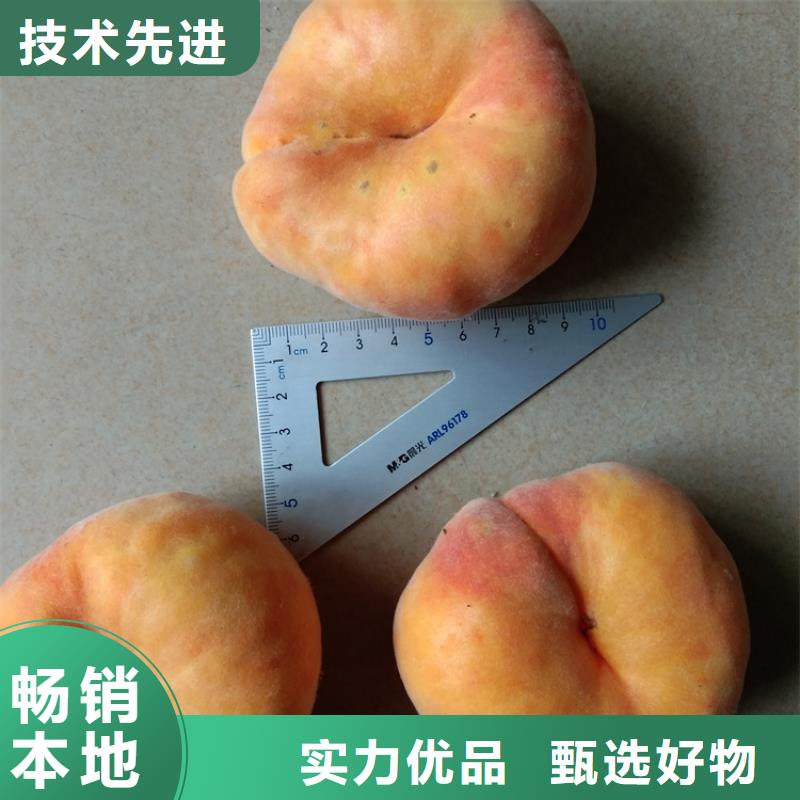 桃-【猕猴桃苗】用品质说话