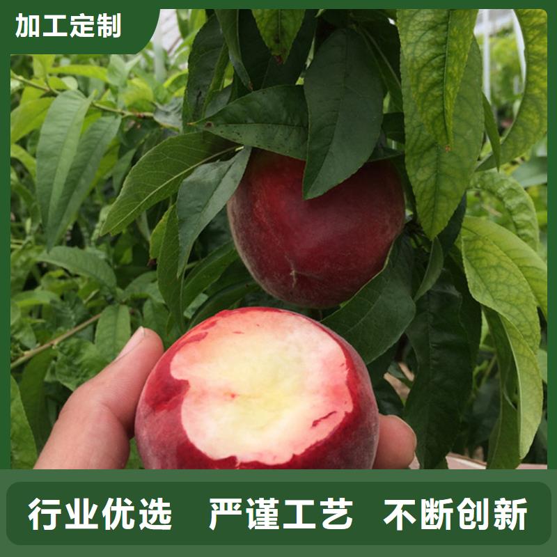 桃-【猕猴桃苗】用品质说话