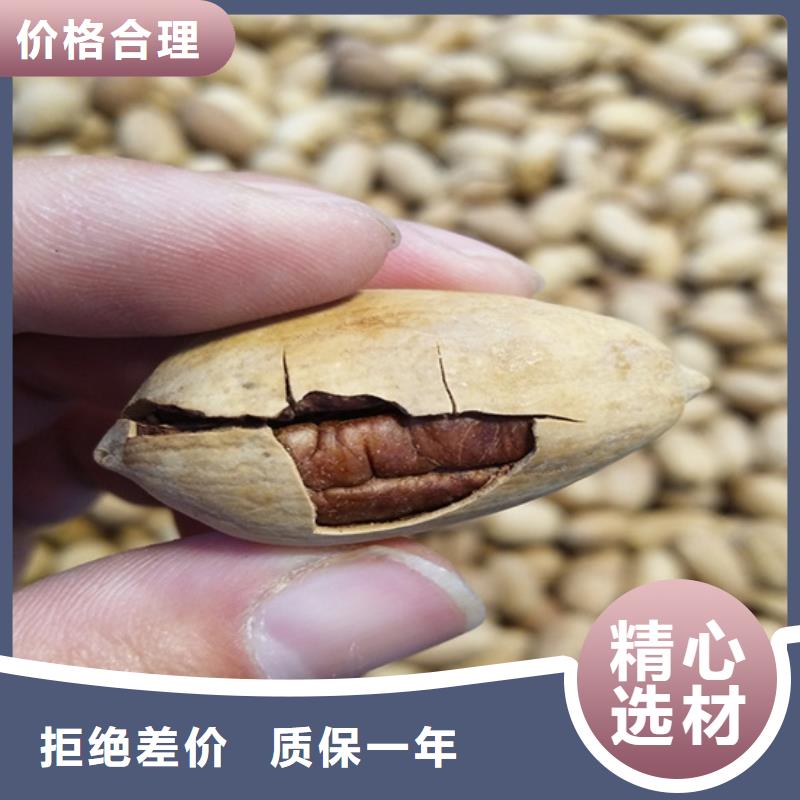 碧根果树苗量大从优咸阳