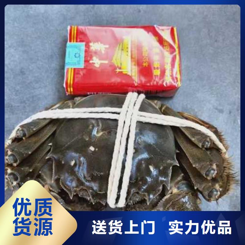 上海品质今天的螃蟹价格多少钱一斤