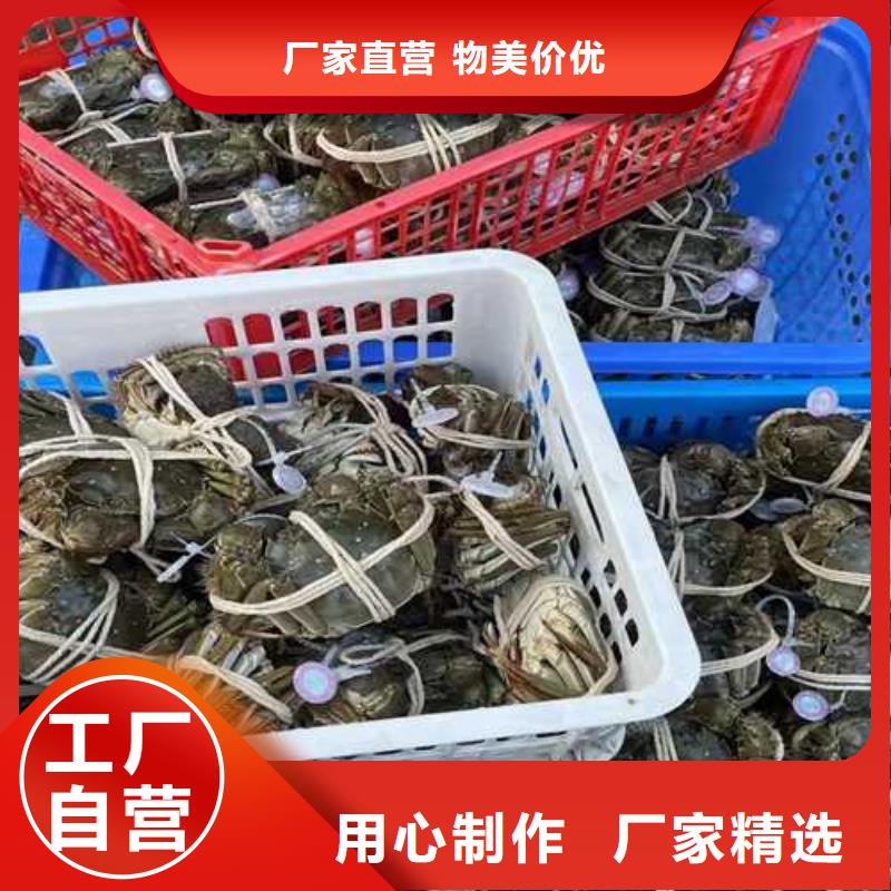 上海品质今天的螃蟹价格多少钱一斤