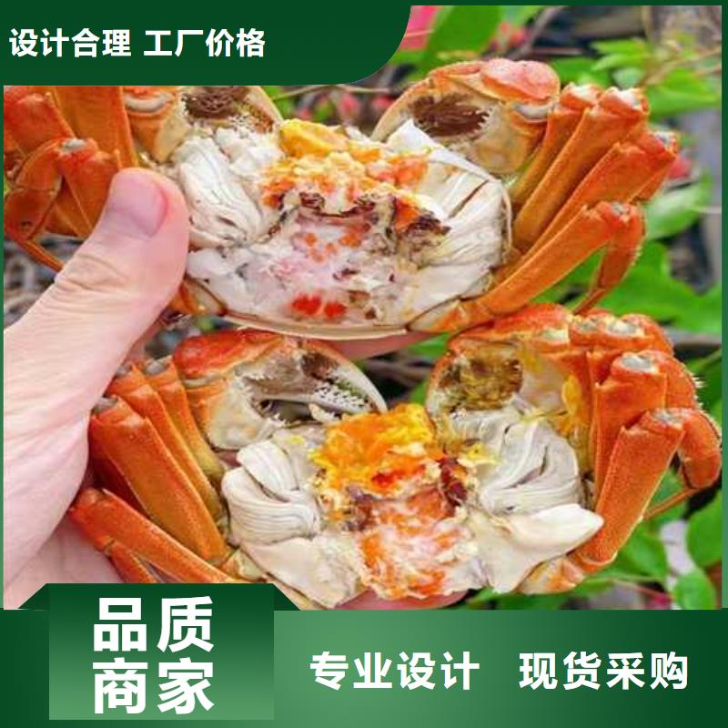 【普洱】销售鲜活螃蟹精品团购