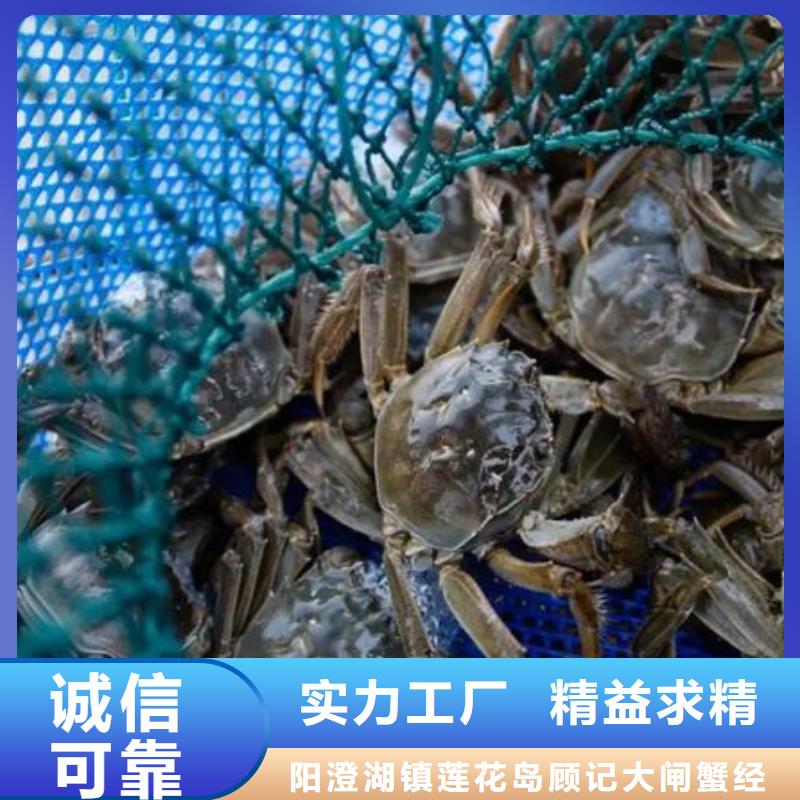 去正宗阳澄湖大闸蟹哪里好在苏州阳澄湖