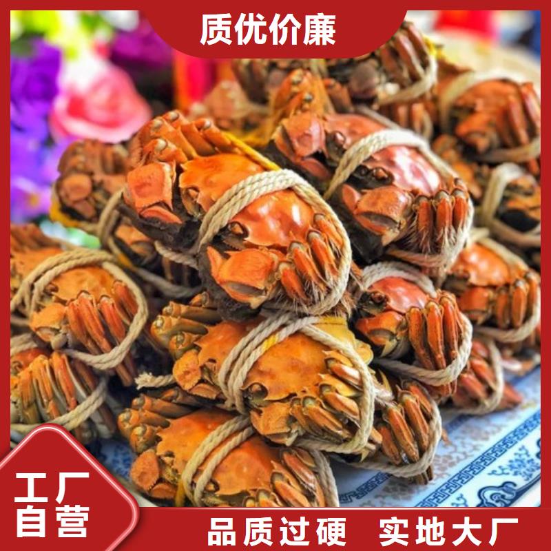 鲜活阳澄湖螃蟹价格多少钱一斤