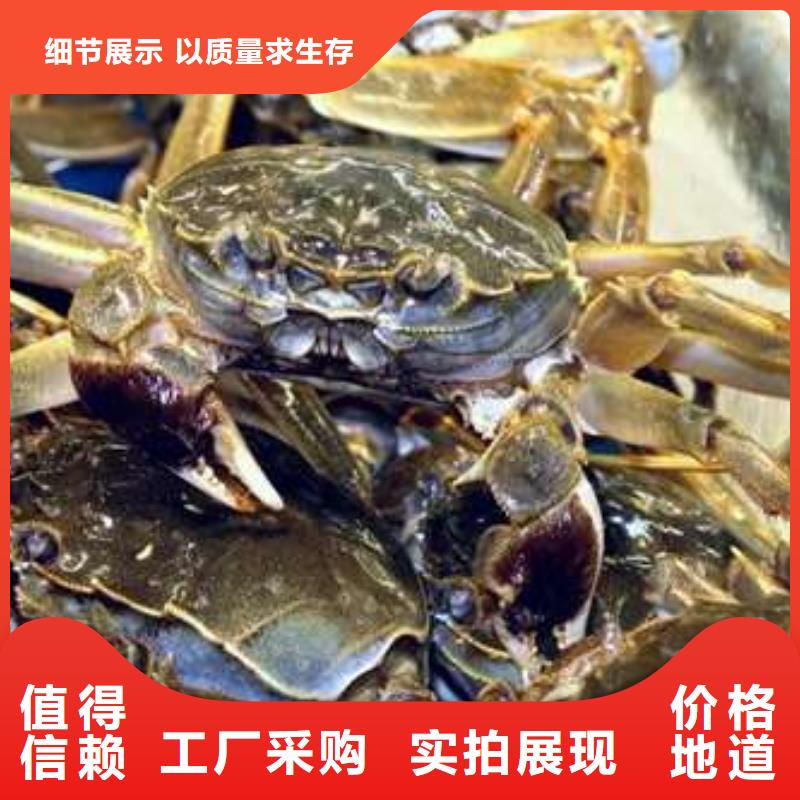 购买阳澄湖大闸蟹满意后付款