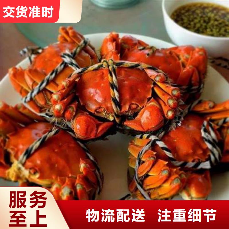 【顾记】惠州市今天的螃蟹订购