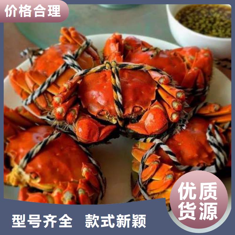 {顾记}惠州市南方大螃蟹的价格