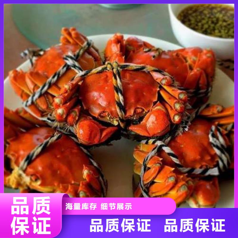 揭阳市螃蟹礼盒包装图片