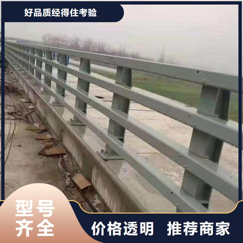 不锈钢复合管道路护栏-联系方式