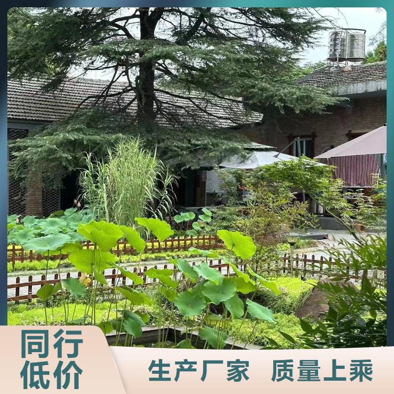 农村一层带小院自建房可以住多少年大全