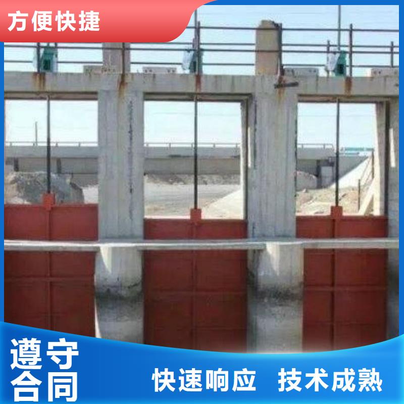 北京直销市昌平区排灌渠铸铁闸门推荐货源