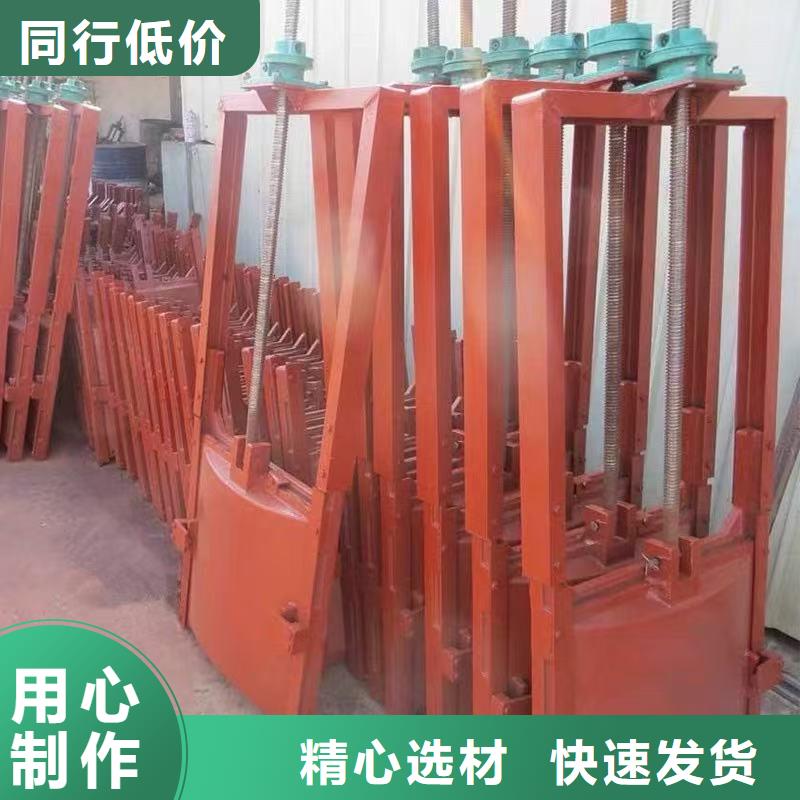 启闭机闸门-PZ双向止水铸铁镶铜闸门信誉良好