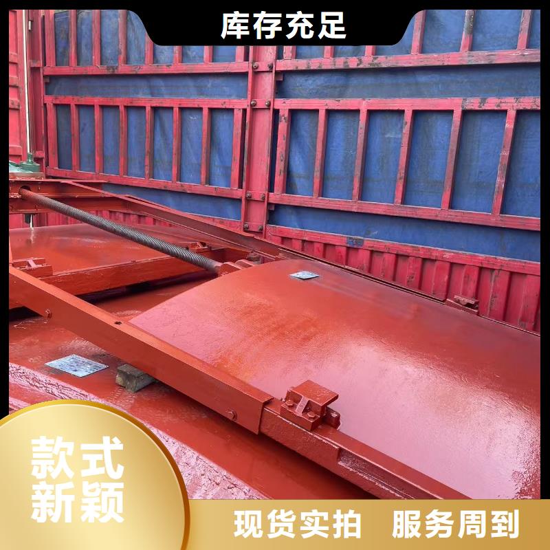 水闸闸门制造厂_瑞鑫启闭机铸铁闸门清污机钢闸门拍门水工机械厂
