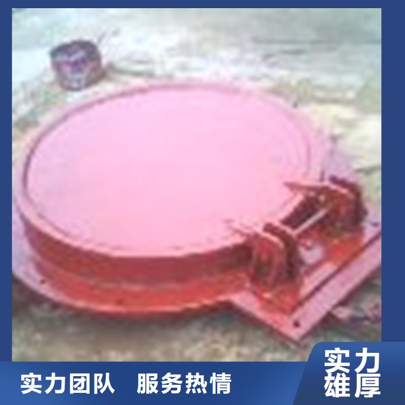 上海咨询浮箱拍门大型生产经验丰富的厂家