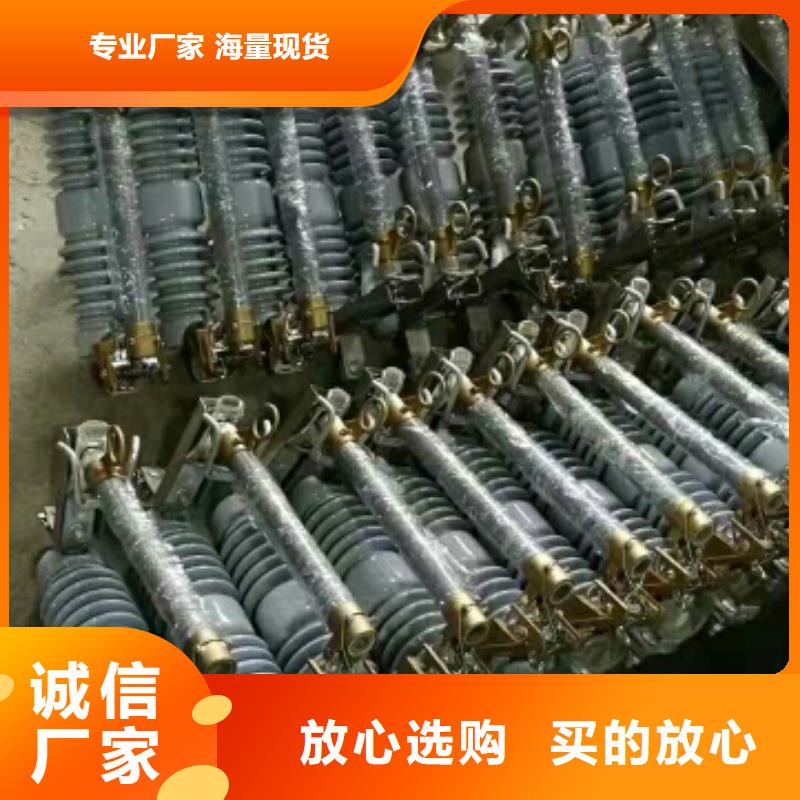 高压熔断器/PRW12-12F/100A【浙江羿振电气有限公司】