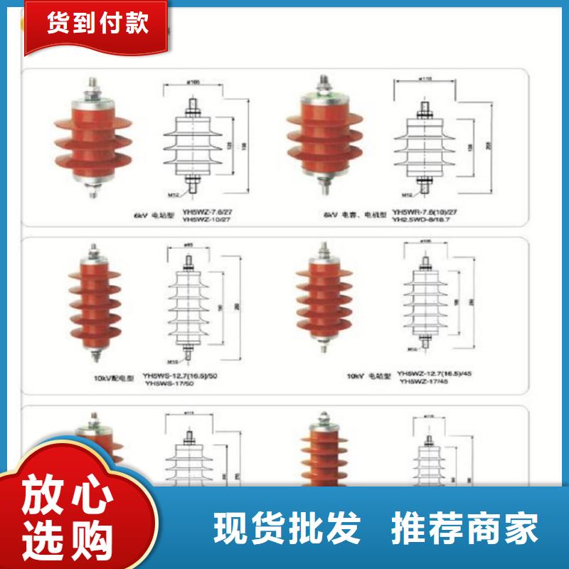 避雷器Y1.5W5-96/260W【羿振电气】