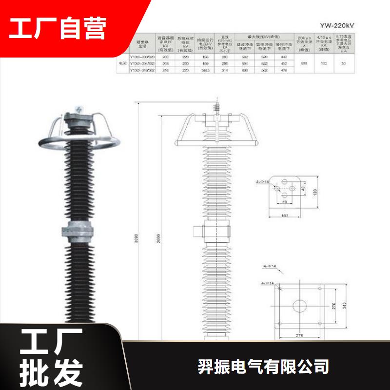 【避雷器】HY10WX-100/248TD