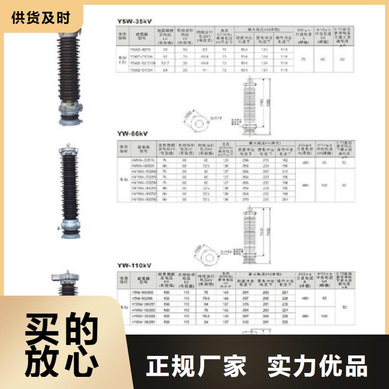 【购买(羿振)】氧化锌避雷器HY10W1-108/281
