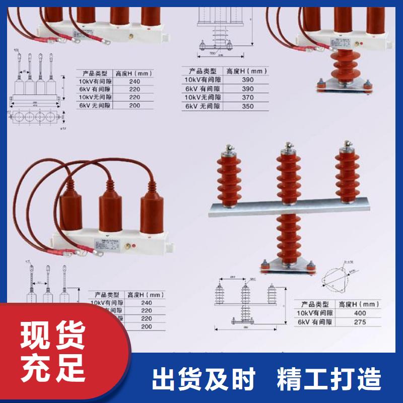 过电压保护器(组合式避雷器)TBP-B-12.7F/150