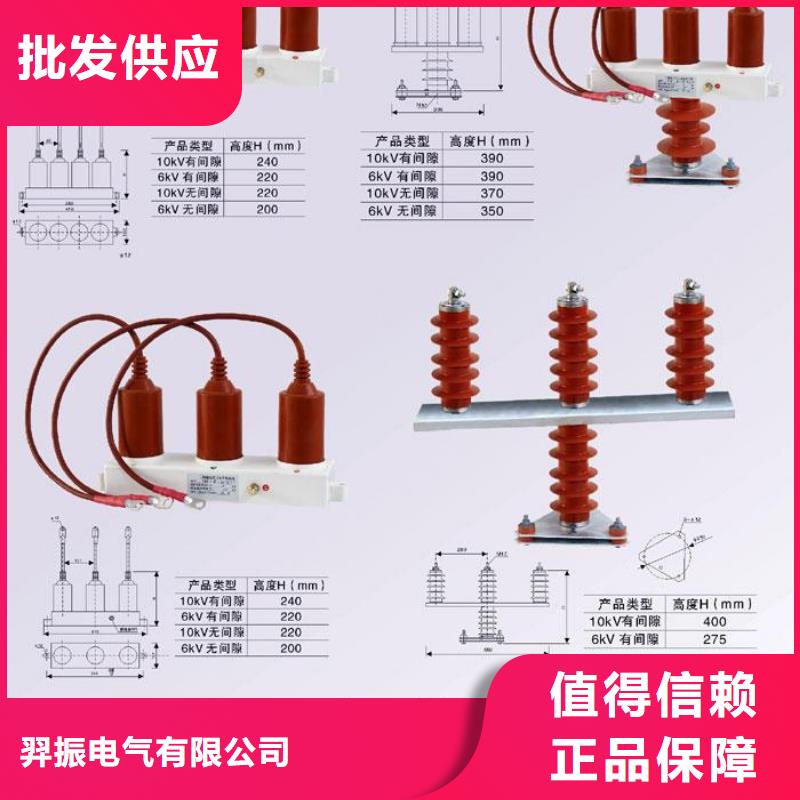 〖过电压保护器〗TBP-A-42/310价格实惠