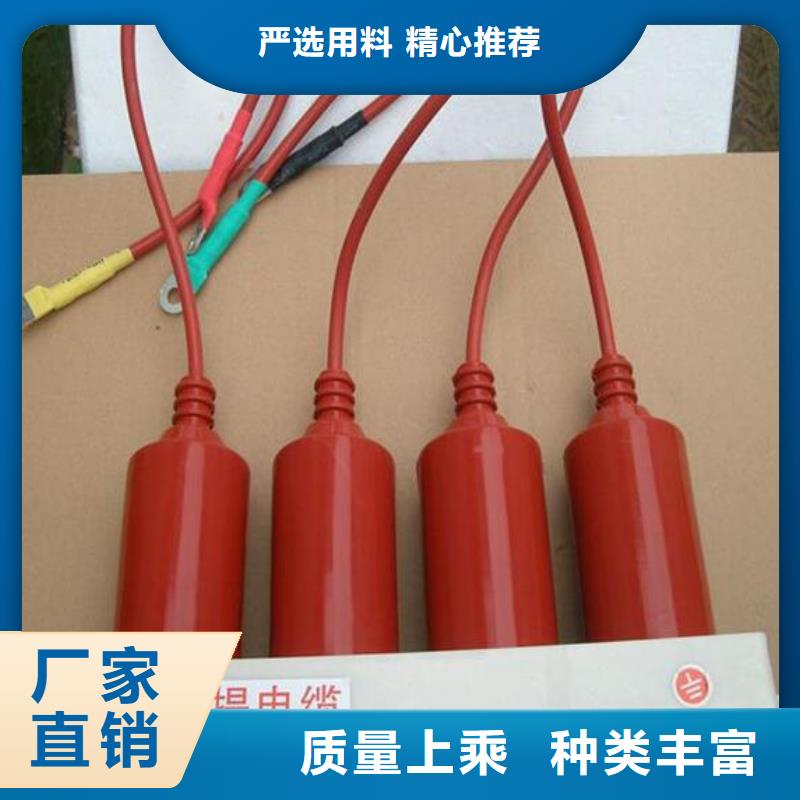 保护器(组合式避雷器)BSTG-A-17/600