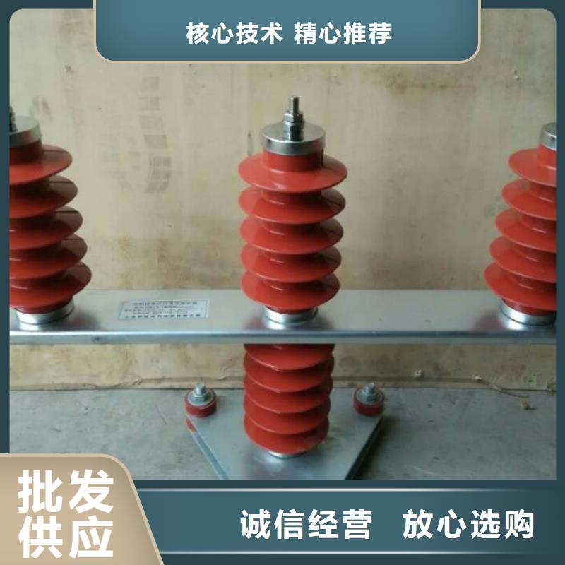 保护器(组合式避雷器)YD600-A-7.6KV/F