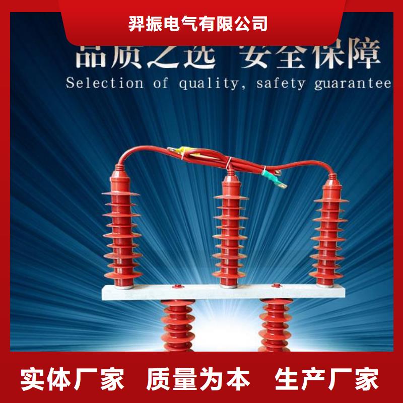 【购买【羿振】】过电压保护器(组合式避雷器)YH5WS-17/50*17/50