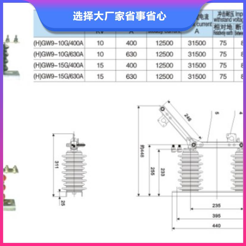 【户外高压交流隔离开关】GHW9-10/1250厂家价格