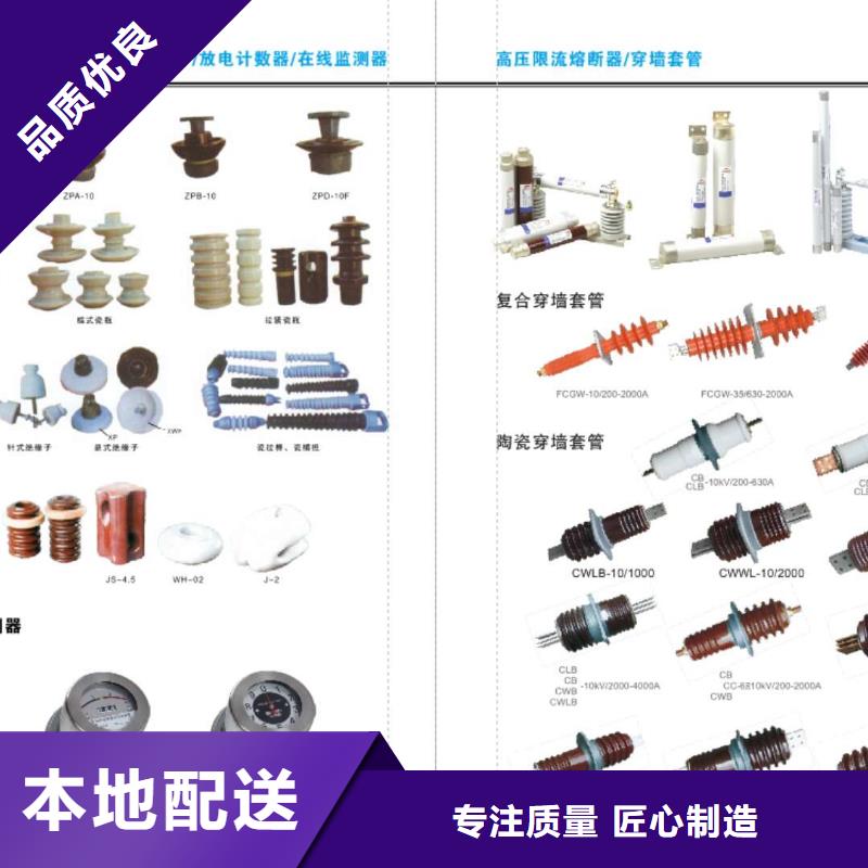 10KV单级隔离开关HGW9-10KV/200.