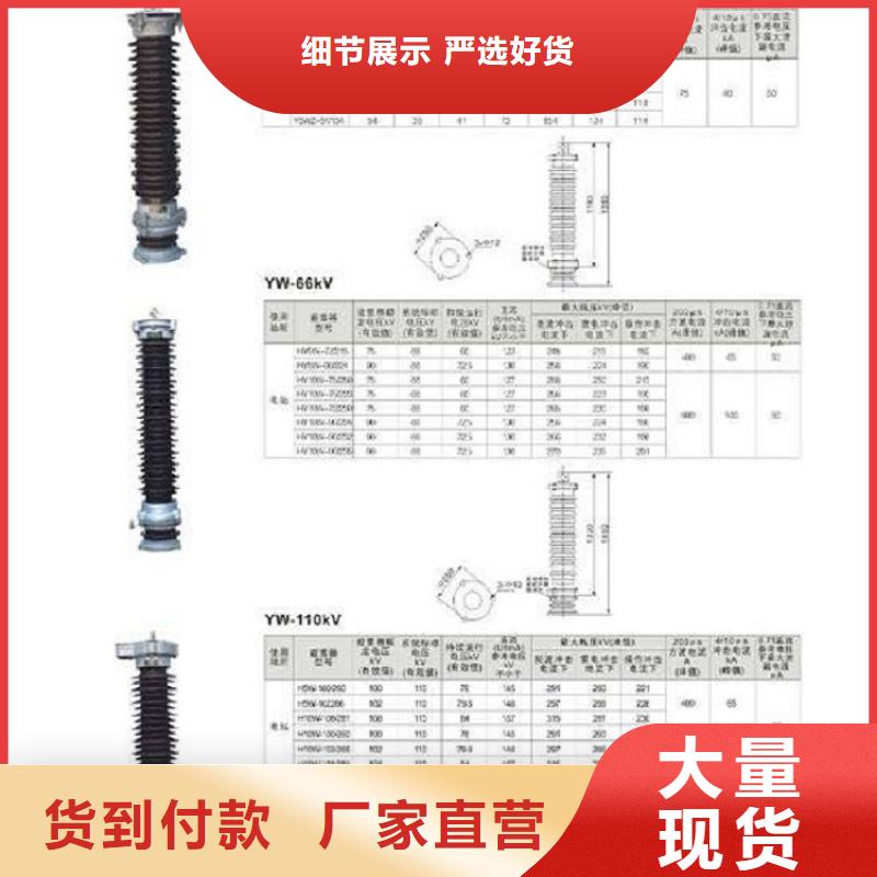 金属氧化物避雷器Y10W5-192/500W