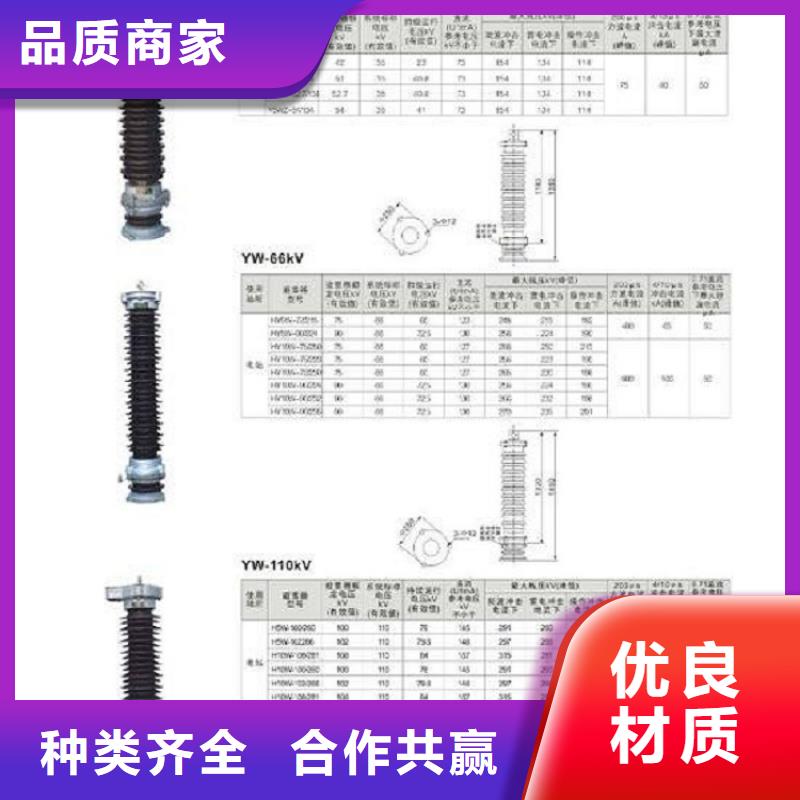 避雷器HY10W-200/496浙江羿振电气有限公司