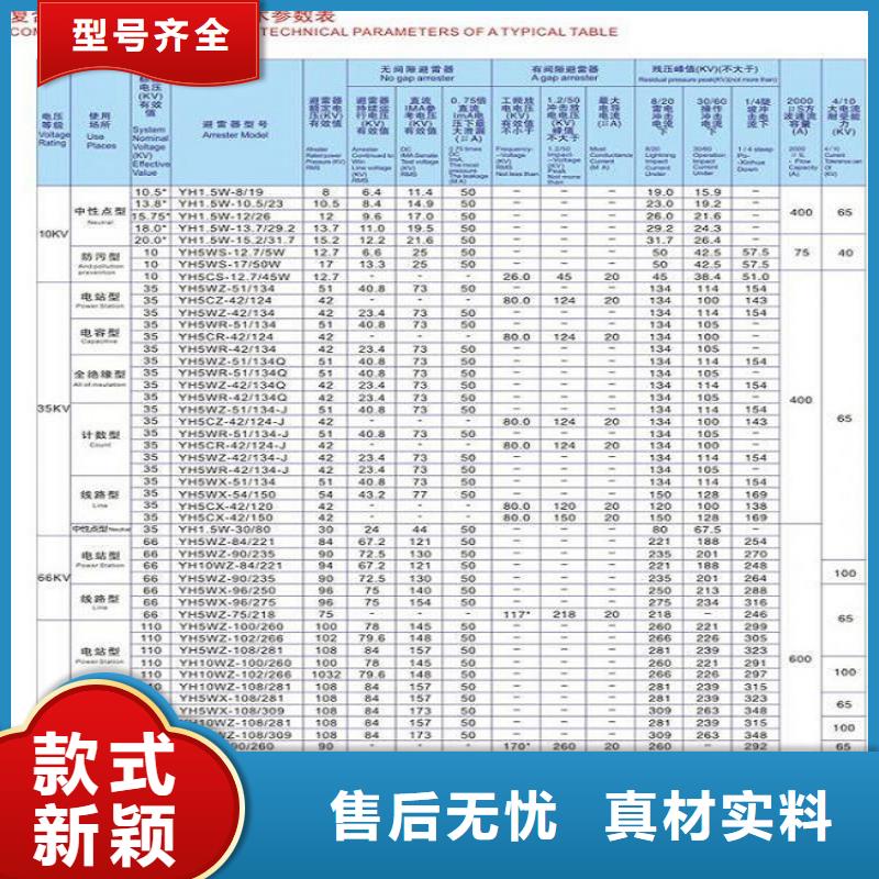 避雷器Y10W-204/532